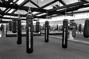 Best MMA Gyms & Training in Jersey City Ultimate Guide to MMA: Training, Techniques, and Top Fighters in The World Best MMA Gyms & Training in Jersey City | Ultimate Guide to MMA: Training, Techniques, and Top Fighters in The World
