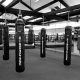 Best MMA Gyms & Training in Jersey City | Ultimate Guide to MMA: Training, Techniques, and Top Fighters in The World