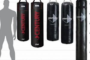 Top 5 Best Heavy Bags for MMA Training 2024 | Ultimate Guide to MMA: Training, Techniques, and Top Fighters in The World