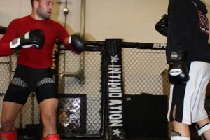 Ultimate Griffonrawl MMA Guide for Fighters | Ultimate Guide to MMA: Training, Techniques, and Top Fighters in The World
