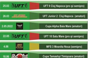 Official MMA Calendar & Fight Schedules Ultimate Guide to MMA: Training, Techniques, and Top Fighters in The World Official MMA Calendar & Fight Schedules | Ultimate Guide to MMA: Training, Techniques, and Top Fighters in The World