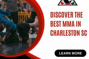 Best MMA Gyms & Training in Charleston, SC | Ultimate Guide to MMA: Training, Techniques, and Top Fighters in The World