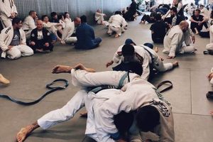 Triunfo Jiu Jitsu & MMA: Train to Win Ultimate Guide to MMA: Training, Techniques, and Top Fighters in The World Triunfo Jiu Jitsu & MMA: Train to Win | Ultimate Guide to MMA: Training, Techniques, and Top Fighters in The World