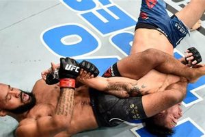 Dominate MMA: Mastering the Art of Submissions Ultimate Guide to MMA: Training, Techniques, and Top Fighters in The World Dominate MMA: Mastering the Art of Submissions | Ultimate Guide to MMA: Training, Techniques, and Top Fighters in The World