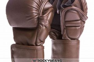 Best MMA OZ Gloves: Guide & Reviews | Ultimate Guide to MMA: Training, Techniques, and Top Fighters in The World