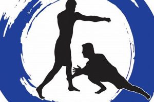 Discover Greubel's MMA: Train & Thrive Ultimate Guide to MMA: Training, Techniques, and Top Fighters in The World Discover Greubel's MMA: Train & Thrive | Ultimate Guide to MMA: Training, Techniques, and Top Fighters in The World