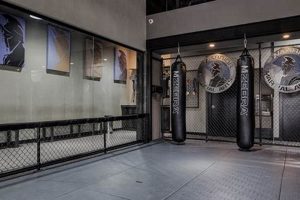 Best MMA Schools & Gyms in Dallas, TX | Ultimate Guide to MMA: Training, Techniques, and Top Fighters in The World