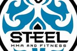 Forge Steel MMA Fitness: Train Like a Pro Ultimate Guide to MMA: Training, Techniques, and Top Fighters in The World Forge Steel MMA Fitness: Train Like a Pro | Ultimate Guide to MMA: Training, Techniques, and Top Fighters in The World