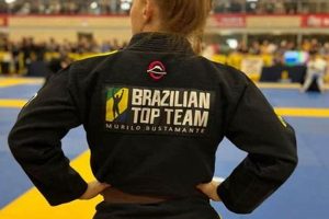 Top 5 Best MMA Gyms In The World: Guide Ultimate Guide to MMA: Training, Techniques, and Top Fighters in The World Top 5 Best MMA Gyms In The World: Guide | Ultimate Guide to MMA: Training, Techniques, and Top Fighters in The World