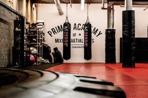 The Best Primal MMA Academy: Train & Thrive Ultimate Guide to MMA: Training, Techniques, and Top Fighters in The World The Best Primal MMA Academy: Train & Thrive | Ultimate Guide to MMA: Training, Techniques, and Top Fighters in The World