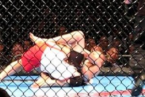 Mma Fanhouse | Ultimate Guide to MMA: Training, Techniques, and Top Fighters in The World