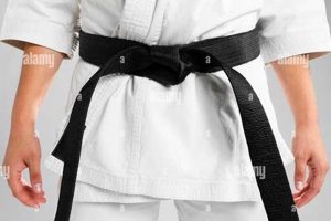 Become an MMA Black Belt: The Ultimate Guide Ultimate Guide to MMA: Training, Techniques, and Top Fighters in The World Become an MMA Black Belt: The Ultimate Guide | Ultimate Guide to MMA: Training, Techniques, and Top Fighters in The World