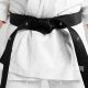 Become an MMA Black Belt: The Ultimate Guide | Ultimate Guide to MMA: Training, Techniques, and Top Fighters in The World
