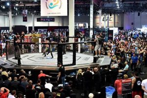 Will MMA Become an Olympic Sport? Future and Possibilities | Ultimate Guide to MMA: Training, Techniques, and Top Fighters in The World