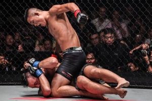 Dominate with MMA Ground and Pound Mastery | Ultimate Guide to MMA: Training, Techniques, and Top Fighters in The World