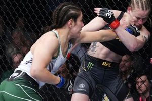 Ultimate Female MMA Fight Guide | Ultimate Guide to MMA: Training, Techniques, and Top Fighters in The World