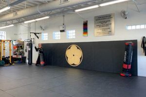 Top MMA Gyms in Dallas TX: Find Your Fit | Ultimate Guide to MMA: Training, Techniques, and Top Fighters in The World