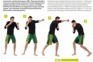 Top MMA Conditioning Drills for Fighters Ultimate Guide to MMA: Training, Techniques, and Top Fighters in The World Top MMA Conditioning Drills for Fighters | Ultimate Guide to MMA: Training, Techniques, and Top Fighters in The World