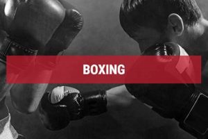 Vamos Mma | Ultimate Guide to MMA: Training, Techniques, and Top Fighters in The World