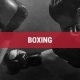 Vamos Mma | Ultimate Guide to MMA: Training, Techniques, and Top Fighters in The World
