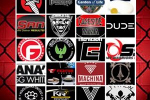Top MMA Companies & Organizations in 2024 Ultimate Guide to MMA: Training, Techniques, and Top Fighters in The World Top MMA Companies & Organizations in 2024 | Ultimate Guide to MMA: Training, Techniques, and Top Fighters in The World