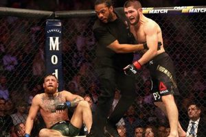 The Ultimate Khabib vs. Connor Breakdown | Ultimate Guide to MMA: Training, Techniques, and Top Fighters in The World