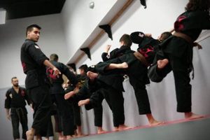 Best MMA Classes & Gyms in Tampa, FL | Ultimate Guide to MMA: Training, Techniques, and Top Fighters in The World