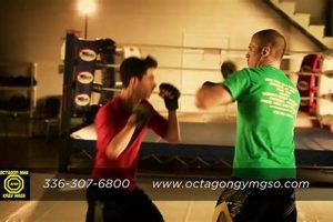 Atlantic Mma | Ultimate Guide to MMA: Training, Techniques, and Top Fighters in The World