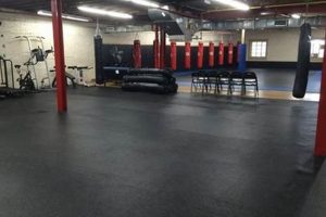 Mayo Kickboxing & MMA Academy: Train Today! Ultimate Guide to MMA: Training, Techniques, and Top Fighters in The World Mayo Kickboxing & MMA Academy: Train Today! | Ultimate Guide to MMA: Training, Techniques, and Top Fighters in The World