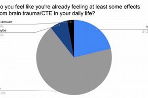 MMA & CTE: The Fighter's Risk & Future | Ultimate Guide to MMA: Training, Techniques, and Top Fighters in The World