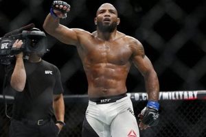 Ultimate Guide to Middleweight MMA Fighters | Ultimate Guide to MMA: Training, Techniques, and Top Fighters in The World