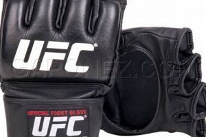 Best MMA Gloves for Sale: Shop Now | Ultimate Guide to MMA: Training, Techniques, and Top Fighters in The World