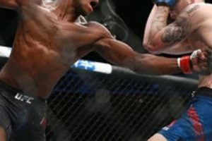Top Amateur MMA Tournaments: A Fighter's Guide Ultimate Guide to MMA: Training, Techniques, and Top Fighters in The World Top Amateur MMA Tournaments: A Fighter's Guide | Ultimate Guide to MMA: Training, Techniques, and Top Fighters in The World