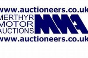 Official MMA Auctions & Memorabilia | Ultimate Guide to MMA: Training, Techniques, and Top Fighters in The World