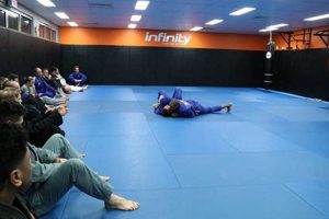 Top Springfield MMA Gyms: Train Like a Pro | Ultimate Guide to MMA: Training, Techniques, and Top Fighters in The World