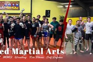 The Ultimate Guide to United Kickboxing and MMA Training | Ultimate Guide to MMA: Training, Techniques, and Top Fighters in The World