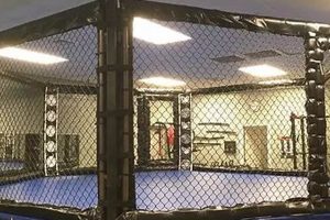 Best MMA Training in CT: Gyms & Classes Ultimate Guide to MMA: Training, Techniques, and Top Fighters in The World Best MMA Training in CT: Gyms & Classes | Ultimate Guide to MMA: Training, Techniques, and Top Fighters in The World