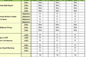 Ultimate MMA Strength & Conditioning Programs | Ultimate Guide to MMA: Training, Techniques, and Top Fighters in The World