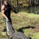 Primeval MMA Fighter Alligator Fury! | Ultimate Guide to MMA: Training, Techniques, and Top Fighters in The World