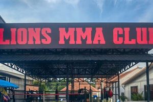 Train Like a Lion: Lions MMA Gym | Ultimate Guide to MMA: Training, Techniques, and Top Fighters in The World