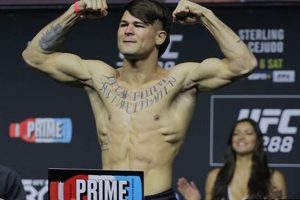 Train Like a Pro: Lopes MMA Gear & Training | Ultimate Guide to MMA: Training, Techniques, and Top Fighters in The World