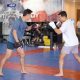 Become Fight Ready: Top MMA Gym | Ultimate Guide to MMA: Training, Techniques, and Top Fighters in The World