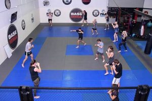 Base Mma | Ultimate Guide to MMA: Training, Techniques, and Top Fighters in The World