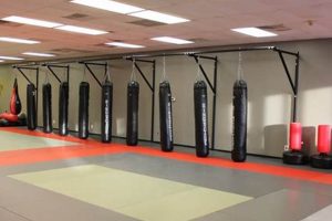Achieve Your Fitness Mission: MMA & Fitness Training | Ultimate Guide to MMA: Training, Techniques, and Top Fighters in The World