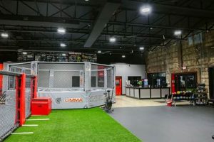 Top Long Island MMA & Fitness Centers Ultimate Guide to MMA: Training, Techniques, and Top Fighters in The World Top Long Island MMA & Fitness Centers | Ultimate Guide to MMA: Training, Techniques, and Top Fighters in The World