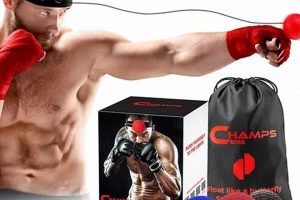 Sharpen Reflexes with Champs MMA Reflex Ball Training | Ultimate Guide to MMA: Training, Techniques, and Top Fighters in The World
