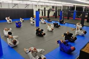 Best Ultimate MMA & Jiu-Jitsu Gym in North Haven CT Ultimate Guide to MMA: Training, Techniques, and Top Fighters in The World Best Ultimate MMA & Jiu-Jitsu Gym in North Haven CT | Ultimate Guide to MMA: Training, Techniques, and Top Fighters in The World