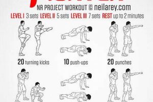 Mma Workouts At Home Ultimate Guide to MMA: Training, Techniques, and Top Fighters in The World Mma Workouts At Home | Ultimate Guide to MMA: Training, Techniques, and Top Fighters in The World