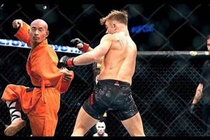 Kung Fu Mma Ufc | Ultimate Guide to MMA: Training, Techniques, and Top Fighters in The World