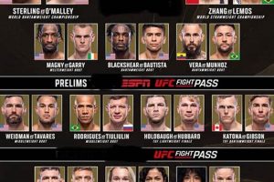 Full Fight Card: Tonight's MMA Bouts & Results | Ultimate Guide to MMA: Training, Techniques, and Top Fighters in The World